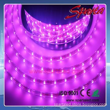 110V/220V outdoor rgb led flex strip IP68